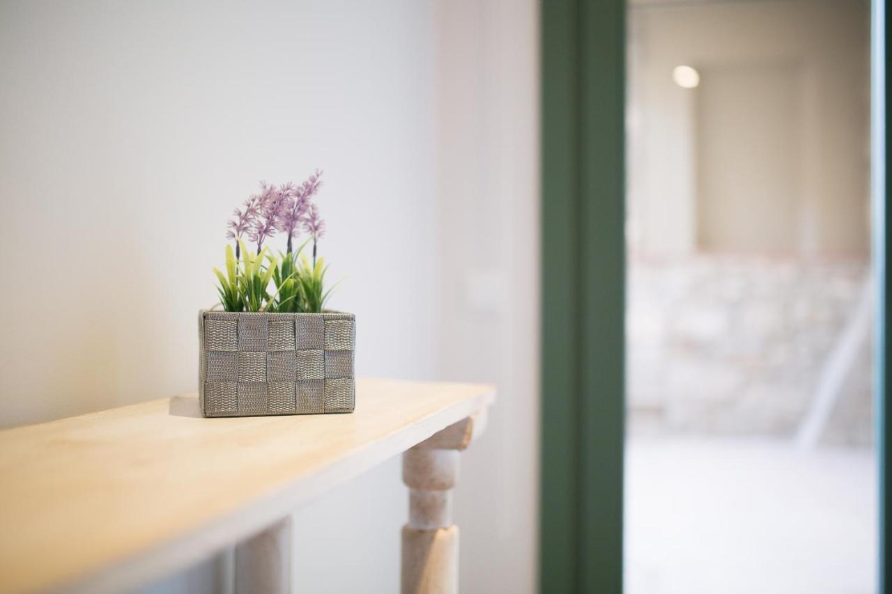 Apartaments Catedral - Baltack Homes Girona Zewnętrze zdjęcie